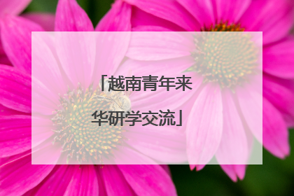 越南青年来华研学交流