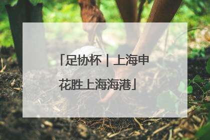 足协杯｜上海申花胜上海海港