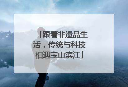 跟着非遗品生活，传统与科技相遇宝山滨江
