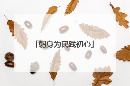 躬身为民践初心