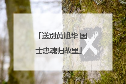 送别黄旭华 国士忠魂归故里