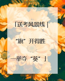 送考风景线｜“旗”开得胜 一举夺“葵”