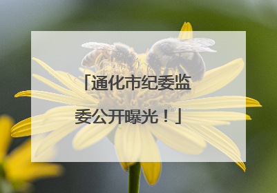 通化市纪委监委公开曝光！