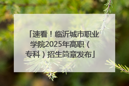 速看！临沂城市职业学院2025年高职（专科）招生简章发布