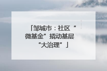 邹城市：社区“微基金”撬动基层“大治理”