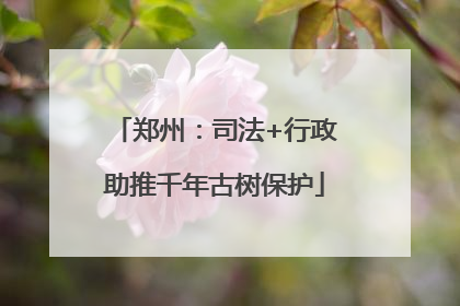 郑州：司法+行政助推千年古树保护
