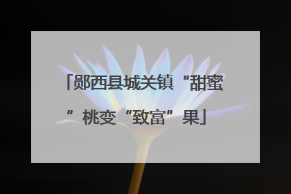 郧西县城关镇“甜蜜”桃变“致富”果