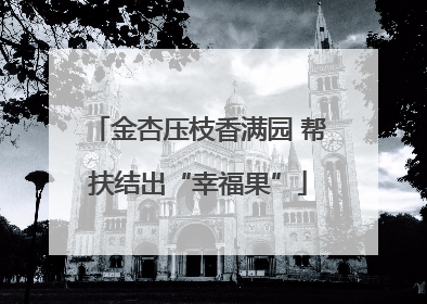 金杏压枝香满园 帮扶结出“幸福果”