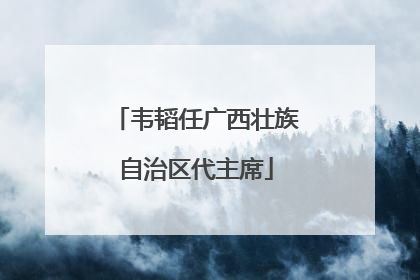 韦韬任广西壮族自治区代主席