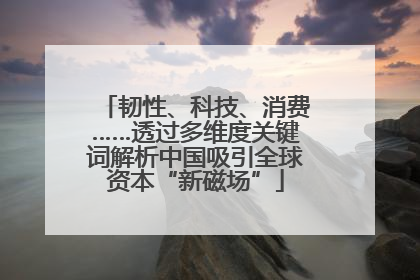 韧性、科技、消费……透过多维度关键词解析中国吸引全球资本“新磁场”