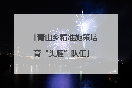青山乡精准施策培育“头雁”队伍