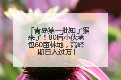 青岛第一批知了猴来了！80后小伙承包60亩林地，高峰期日入过万