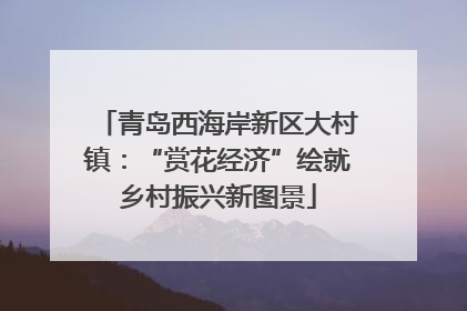 青岛西海岸新区大村镇：“赏花经济”绘就乡村振兴新图景