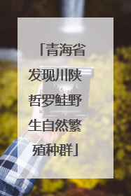 青海省发现川陕哲罗鲑野生自然繁殖种群