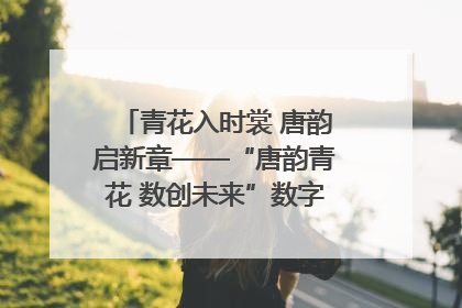 青花入时裳 唐韵启新章——“唐韵青花 数创未来”数字文创设计大赛启幕
