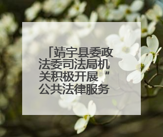 靖宇县委政法委司法局机关积极开展“公共法律服务进乡村”主题活动