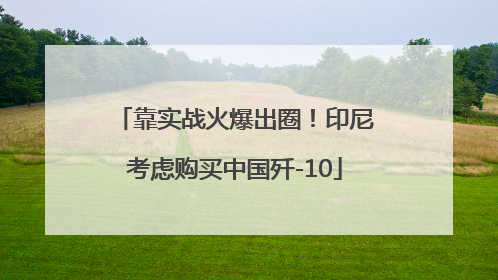 靠实战火爆出圈！印尼考虑购买中国歼-10