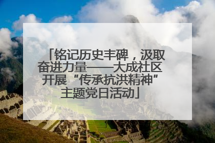 铭记历史丰碑，汲取奋进力量——大成社区开展“传承抗洪精神”主题党日活动