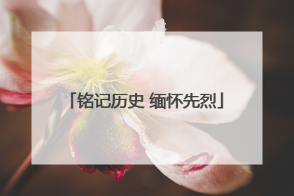 铭记历史 缅怀先烈