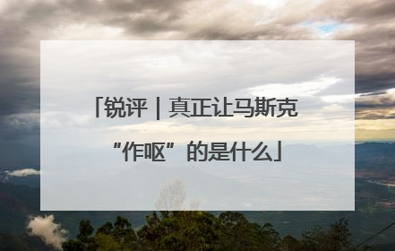 锐评｜真正让马斯克“作呕”的是什么