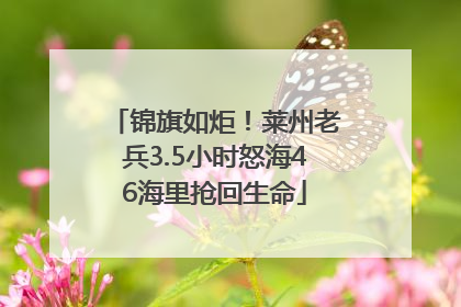 锦旗如炬！莱州老兵3.5小时怒海46海里抢回生命