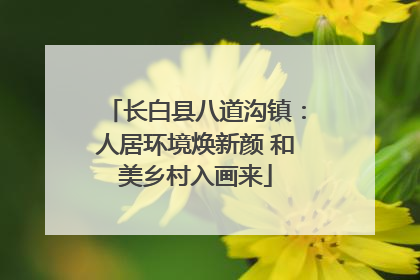 长白县八道沟镇：人居环境焕新颜 和美乡村入画来