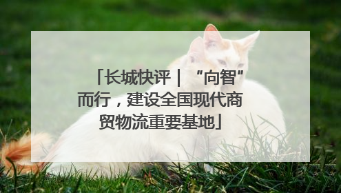 长城快评｜“向智”而行，建设全国现代商贸物流重要基地