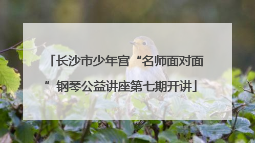 长沙市少年宫“名师面对面”钢琴公益讲座第七期开讲
