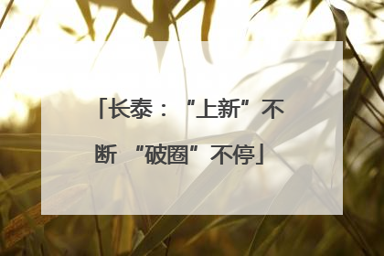 长泰：“上新”不断 “破圈”不停
