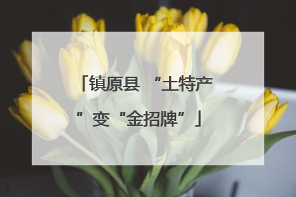 镇原县 “土特产”变“金招牌”