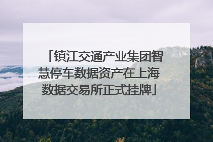 镇江交通产业集团智慧停车数据资产在上海数据交易所正式挂牌
