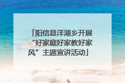 阳信县洋湖乡开展“好家庭好家教好家风”主题宣讲活动
