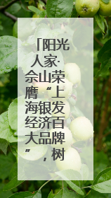 阳光人家·佘山荣膺“上海银发经济百大品牌”，树立康养行业新标杆