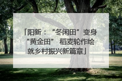 阳新：“冬闲田”变身“黄金田” 稻麦轮作绘就乡村振兴新篇章