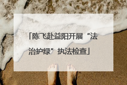 陈飞赴益阳开展“法治护绿”执法检查