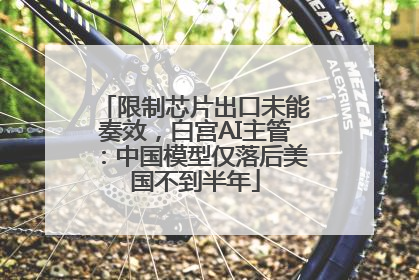 限制芯片出口未能奏效，白宫AI主管：中国模型仅落后美国不到半年