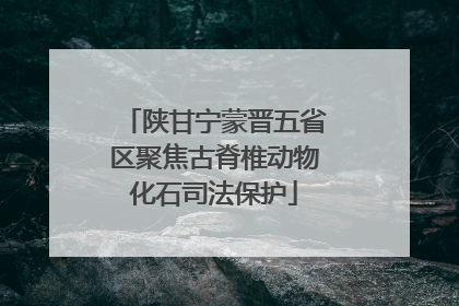陕甘宁蒙晋五省区聚焦古脊椎动物化石司法保护