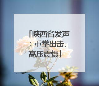 陕西省发声：重拳出击、高压震慑