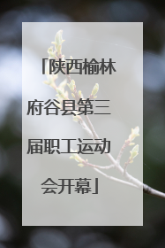 陕西榆林府谷县第三届职工运动会开幕