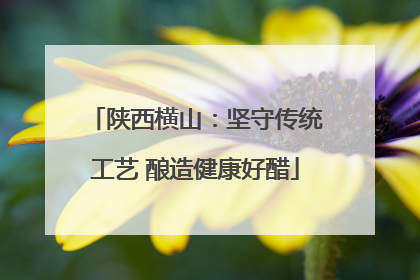 陕西横山：坚守传统工艺 酿造健康好醋