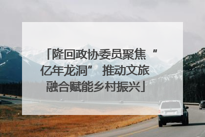 隆回政协委员聚焦“亿年龙洞” 推动文旅融合赋能乡村振兴
