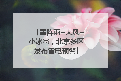 雷阵雨+大风+小冰雹，北京多区发布雷电预警