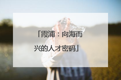 霞浦：向海而兴的人才密码