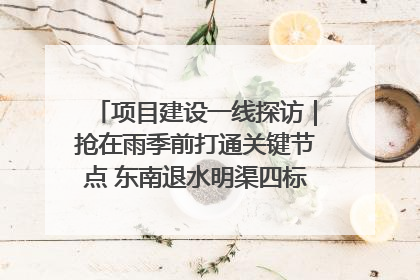 项目建设一线探访｜抢在雨季前打通关键节点 东南退水明渠四标段项目顺利完工