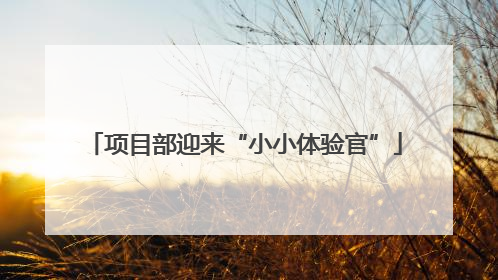 项目部迎来“小小体验官”