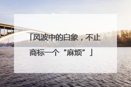 风波中的白象，不止商标一个“麻烦”