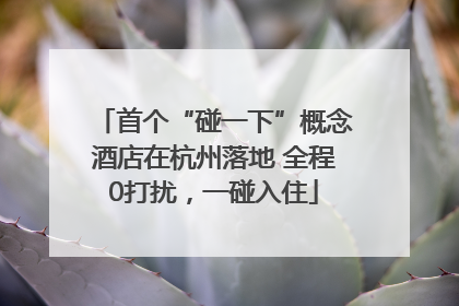 首个“碰一下”概念酒店在杭州落地 全程0打扰，一碰入住