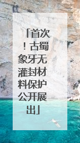 首次！古蜀象牙无灌封材料保护公开展出