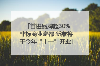 首进品牌超30% 非标商业亳都·新象将于今年“十一”开业