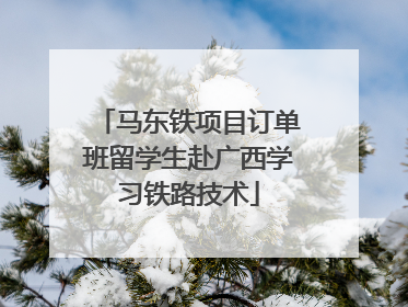 马东铁项目订单班留学生赴广西学习铁路技术